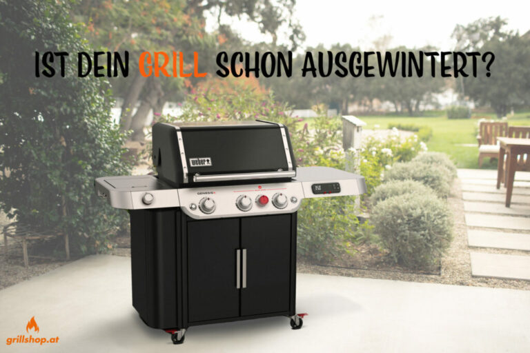 grill-auswintern