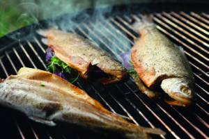 fisch-grillen-gegrillter-fisch-auf-grillrost
